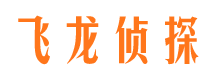 武功市侦探公司